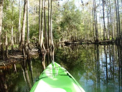 paddle Fisheating Creek