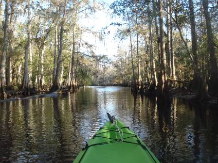 paddle Fisheating Creek