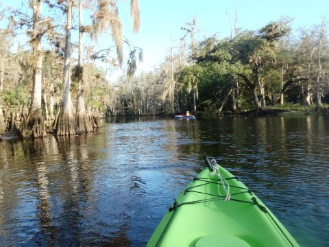 paddle Fisheating Creek