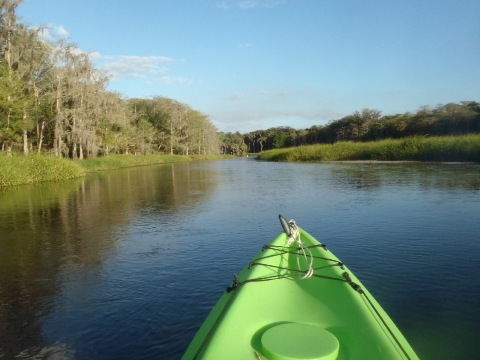 paddle Fisheating Creek