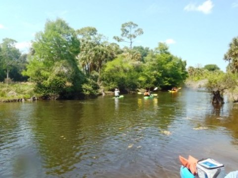 Paddling Loxahatchee River, Riverbend Park, kayak, canoe