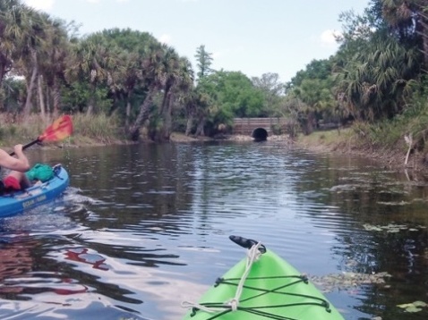 Paddling Loxahatchee River, Riverbend Park, kayak, canoe