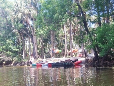 Paddling Loxahatchee River, Riverbend Park, kayak, canoe