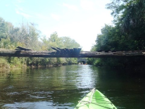 Paddling Loxahatchee River, Riverbend Park, kayak, canoe