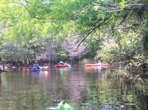 Paddling Loxahatchee River, Riverbend Park, kayak, canoe