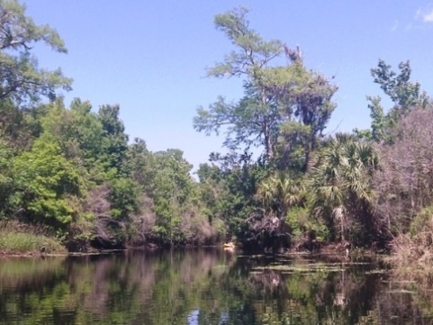 Paddling Loxahatchee River, Riverbend Park, kayak, canoe