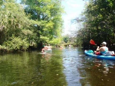 Paddling Loxahatchee River, Riverbend Park, kayak, canoe