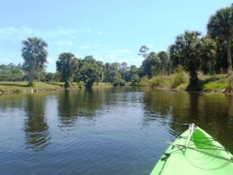 Paddling Loxahatchee River, Picnic Island Loop