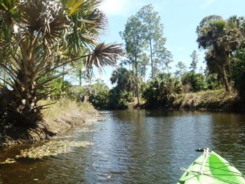 Paddling Loxahatchee River, Picnic Island Loop