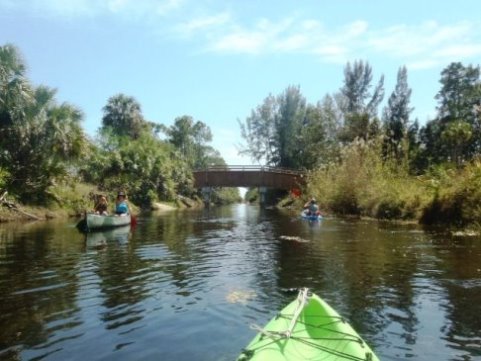 Paddling Loxahatchee River, Picnic Island Loop