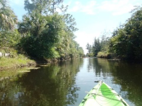 Paddling Loxahatchee River, Picnic Island Loop