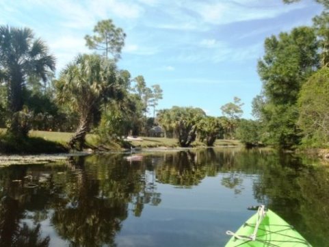 Paddling Loxahatchee River, Picnic Island Loop