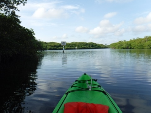 Paddling Loxahatchee River, Jonathan Dickinson SP, kayak, canoe