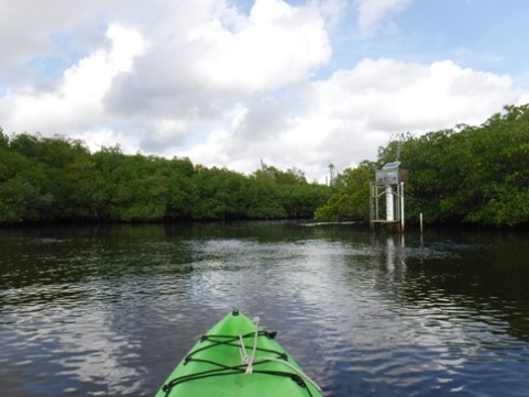 Paddling Loxahatchee, Kitching Creek, kayak, canoe