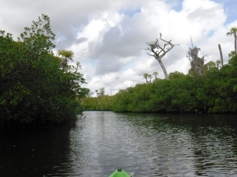 Paddling Loxahatchee, Kitching Creek, kayak, canoe