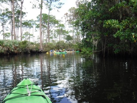 Paddling Loxahatchee, Kitching Creek, kayak, canoe