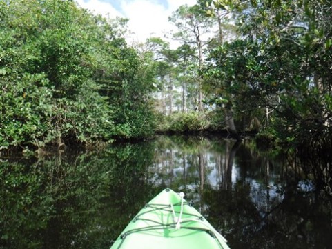 Paddling Loxahatchee, Kitching Creek, kayak, canoe