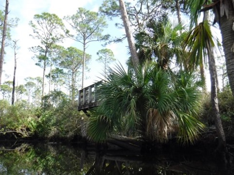 Paddling Loxahatchee, Kitching Creek, kayak, canoe