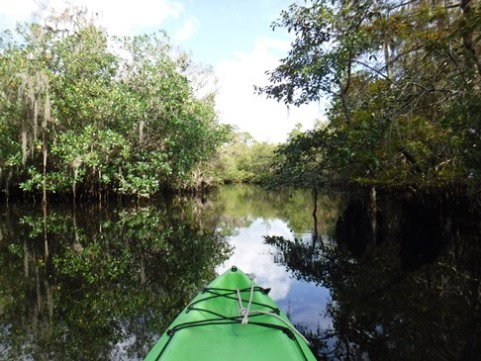 Paddling Loxahatchee, Kitching Creek, kayak, canoe