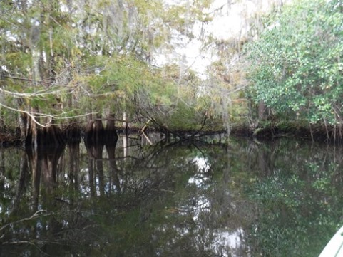 Paddling Loxahatchee, Kitching Creek, kayak, canoe