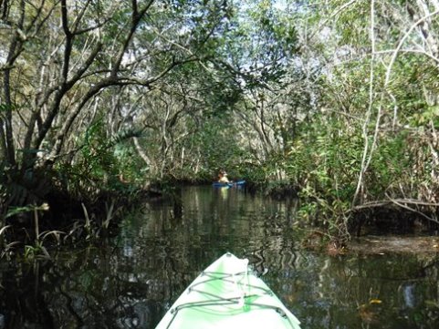 Paddling Loxahatchee, Kitching Creek, kayak, canoe