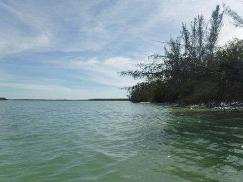 Paddle Marco Island, Caxambas Pass, Kayak, Canoe