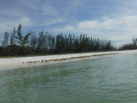 Paddle Marco Island, Caxambas Pass