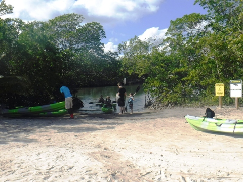 paddle Oleta River, south Florida