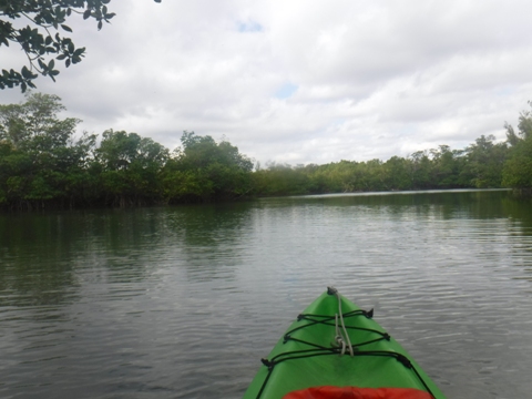 paddle Oleta River, south Florida