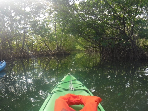 paddle Oleta River, south Florida