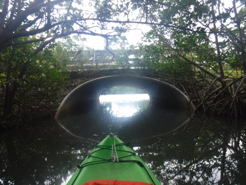 paddle Oleta River, south Florida