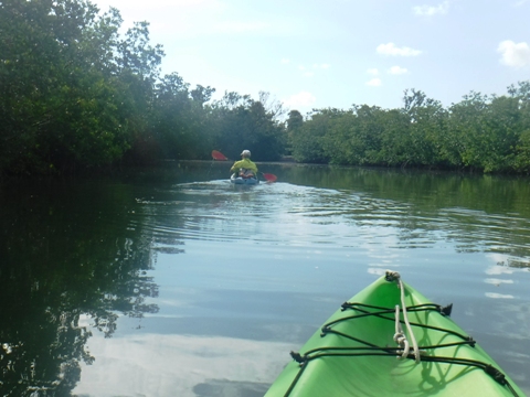 paddle Oleta River, south Florida