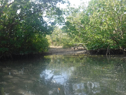 paddle Oleta River, south Florida