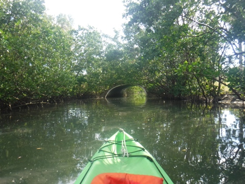 paddle Oleta River, south Florida