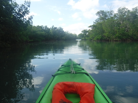 paddle Oleta River, south Florida