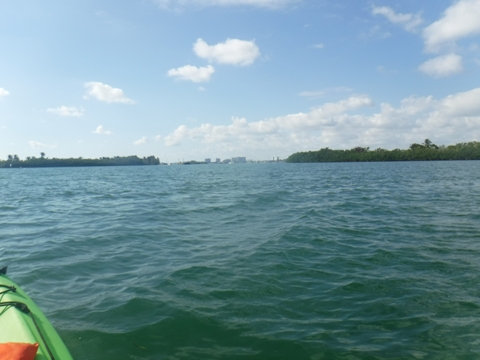 paddle Oleta River, south Florida