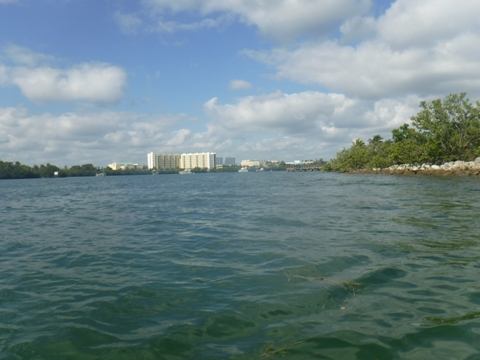 paddle Oleta River, south Florida