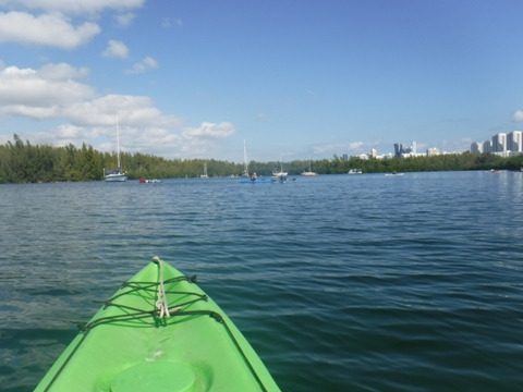 paddle Oleta River, south Florida