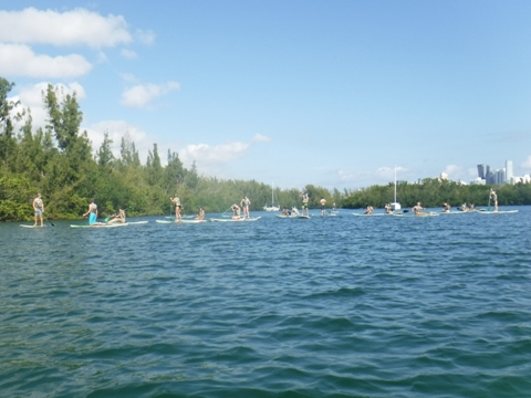 paddle Oleta River, south Florida