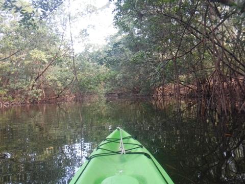 paddle Oleta River, south Florida