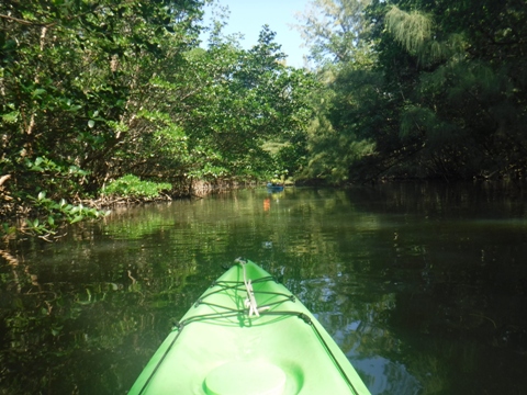 paddle Oleta River, south Florida