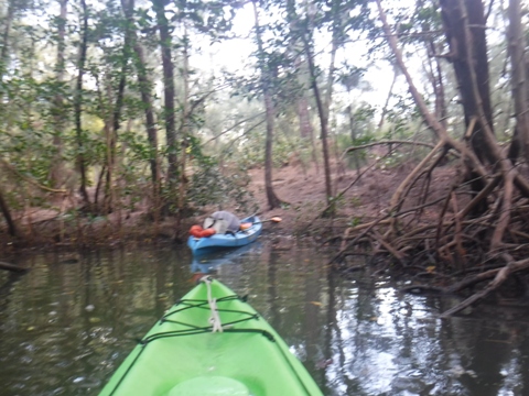 paddle Oleta River, south Florida