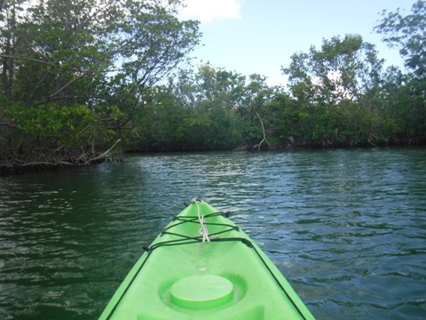 paddle Oleta River, south Florida