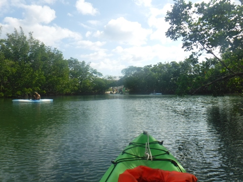 paddle Oleta River, south Florida