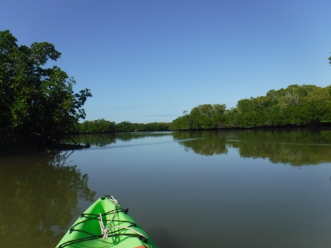 Rookery Bay, South FL paddling