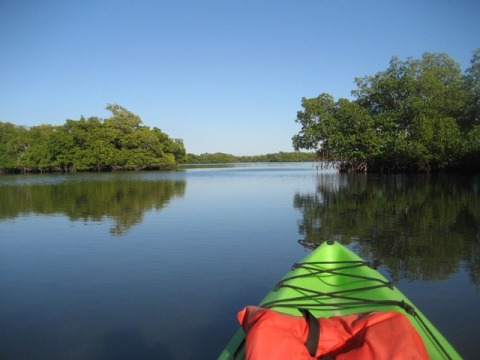 Rookery Bay, Marco Island