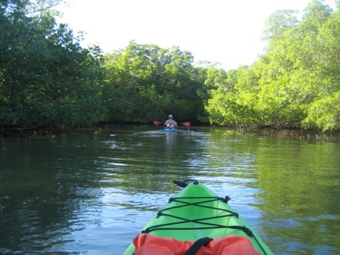 paddle Rookery Bay, Isle of Capri