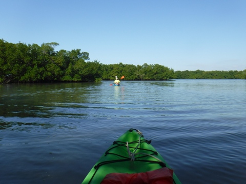 Rookery Bay, Shell Point Paddling Trail