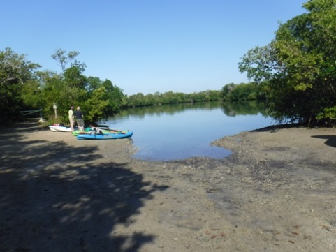 paddle Rookery Bay, Shell Point Paddling Trail