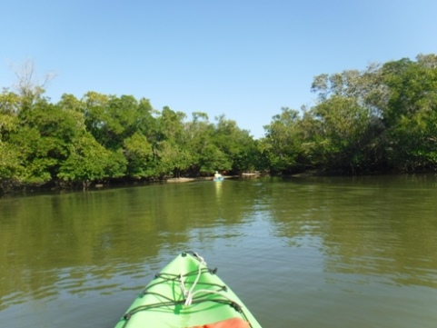 paddle Rookery Bay, Shell Point Paddling Trail